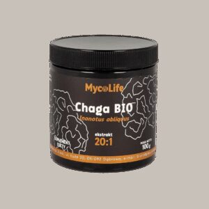 Chaga BIO 100 g - MycoLife