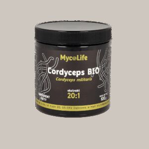 Cordyceps BIO 100 g - MycoLife
